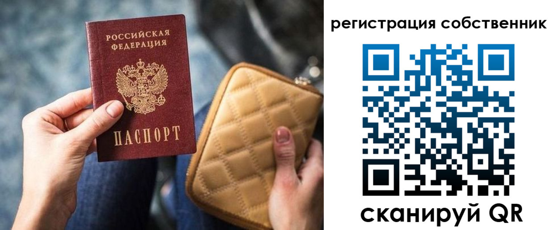 прописка в квартире в Палласовке